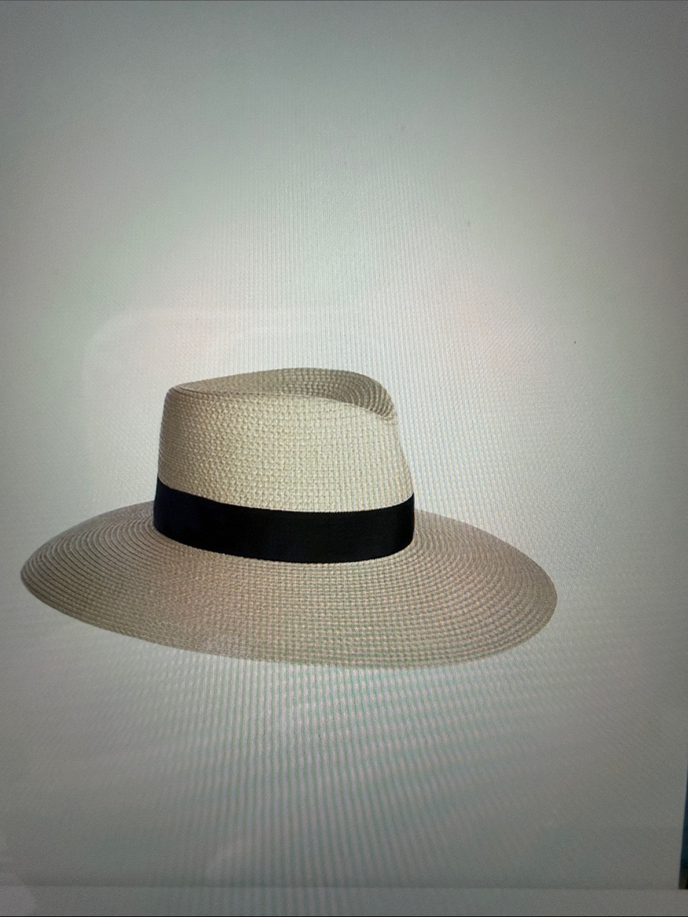 Eric Javits Daphne Natural Straw Wide-Brim Hat with Black Band - Picture 1 of 5